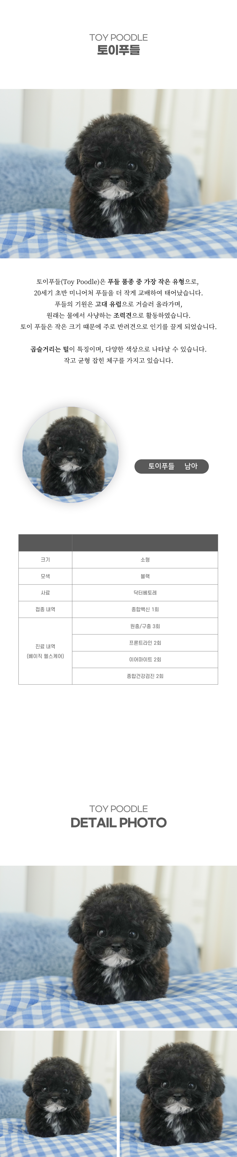 토이푸들_상세이미지_2